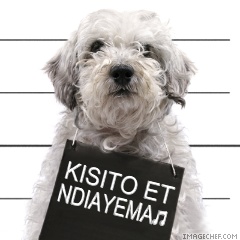k and n